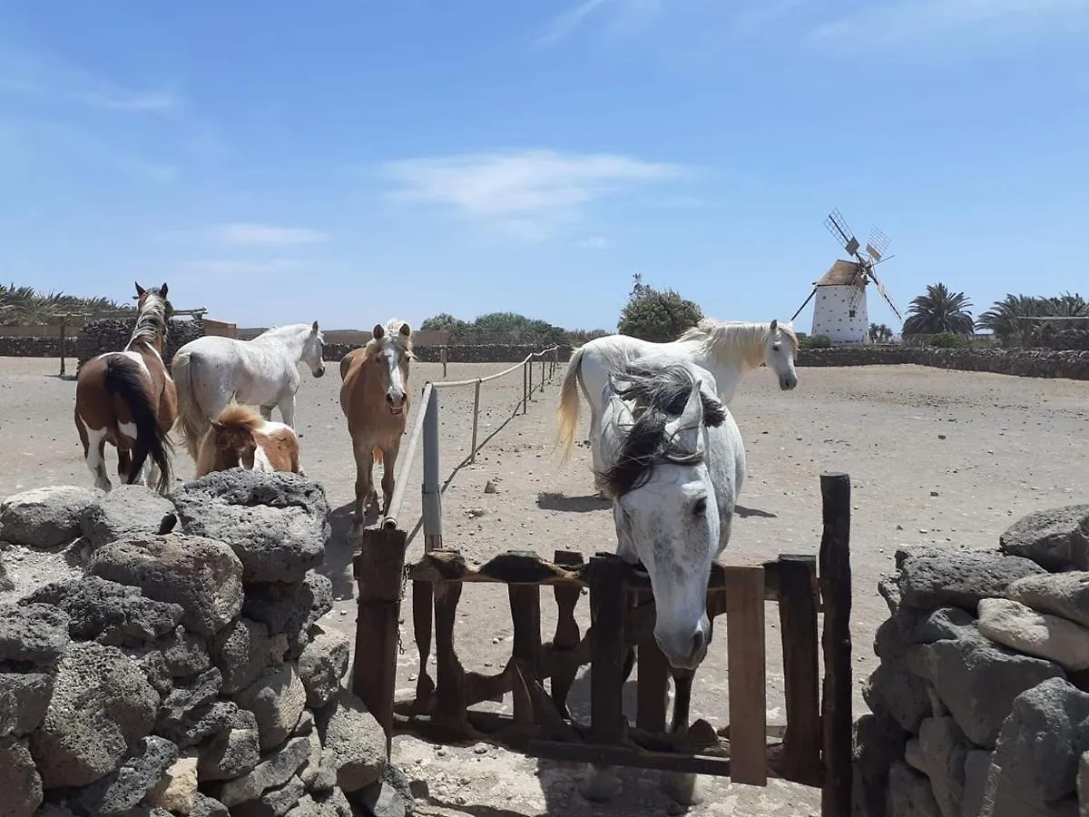 Hostal Alaia Tiny House Between Volcanoes And Beach Breaks Albergue Cotillo España