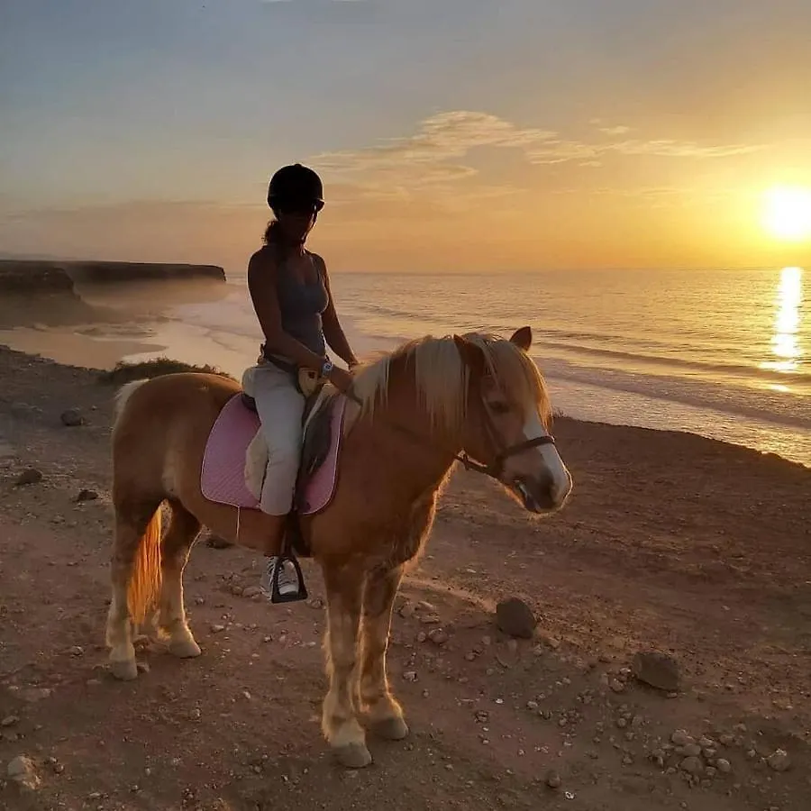 Alaia Tiny House Between Volcanoes And Beach Breaks Albergue Cotillo